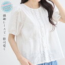 【メール便で送料無料】【レビューを書いて10%OFFクーポンGET】トップス コットンブラウス レースブラウス シャツ ブラウス ピンタック レース コットン パフスリーブ ぽわん袖 半袖 フェミニン かわいい おしゃれ きれいめ 綿 カジュアル 薄手 涼しい 春 夏 レディース