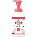 キレイキレイ 薬用泡ハンドソープ(フルーツミックスの香り)/550mL(ライオンハイジーン)