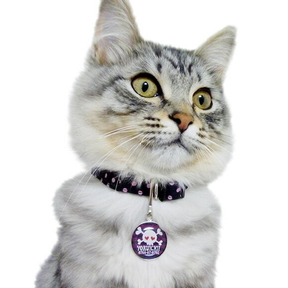 �� �»һ� ǭ ��IDOG&ICAT ���ꥸ�ʥ�͡��ॿ�� �»һ� �ɥ��� �᡼����OK�� �͡���ץ졼�� �ɥå����� ̾�� �ջ� æ���к� �ɺ� ̾���� ̾������ �͡������� ���� ���㡼�� ���������꡼ ���ȥ�å� ��