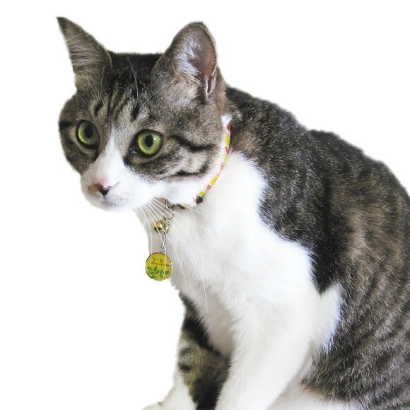 �� �»һ� ǭ ��IDOG&ICAT ���ꥸ�ʥ�͡��ॿ�� �»һ� NATURAL �᡼����OK�� �͡���ץ졼�� �ɥå����� ̾�� �ջ� æ���к� �ɺ� ̾���� ̾������ �͡������� ���� ���㡼�� ���������꡼ ���� ��