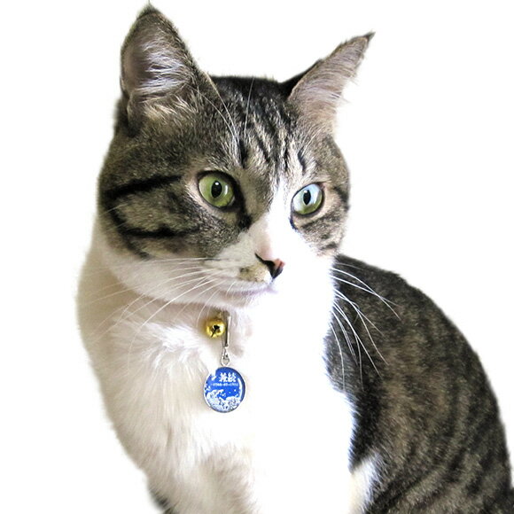 �� �»һ� ǭ ��IDOG&ICAT ���ꥸ�ʥ�͡��ॿ�� �»һ� �� �᡼����OK�� �͡���ץ졼�� �ɥå����� ̾�� �ջ� æ���к� �ɺ� ̾���� ̾������ �͡������� ���� ���㡼�� ���������꡼ ���ȥ�å� �� ��