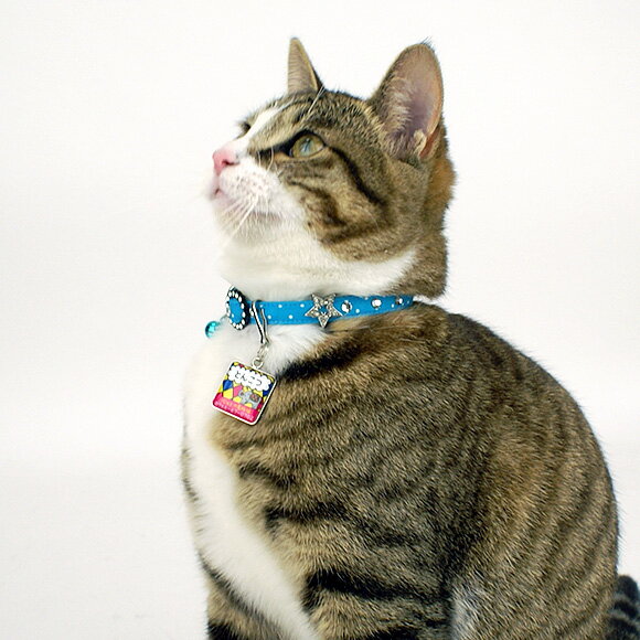 �� �»һ� ǭ ��IDOG&ICAT ���ꥸ�ʥ�͡��ॿ�� �»һ� �Ѵ� ����ɾ� �᡼����OK�� �͡���ץ졼�� �ɥå����� ̾�� �ջ� æ���к� �ɺ� ̾���� ̾������ �͡������� ���� ���㡼�� ���������꡼ �� ��