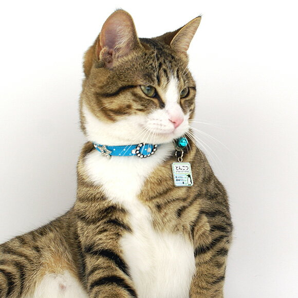 �� �»һ� ǭ ��IDOG&ICAT ���ꥸ�ʥ�͡��ॿ�� �»һ� �Ѵ� �ڥ󥮥�ܡ����� �᡼����OK�� �͡���ץ졼�� �ɥå����� ̾�� �ջ� æ���к� �ɺ� ̾���� ̾������ �͡������� ���� ���㡼�� ���������꡼ ��