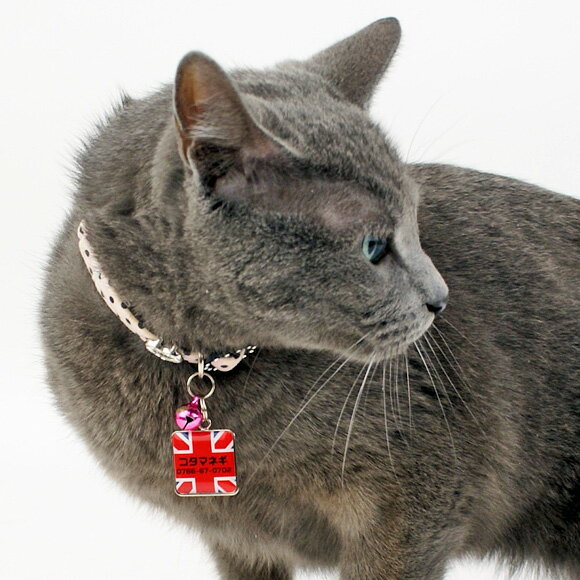 �� �»һ� ǭ ��IDOG&ICAT ���ꥸ�ʥ�͡��ॿ�� �»һ� �Ѵ� UK �᡼����OK�� �͡���ץ졼�� �ɥå����� ̾�� �ջ� æ���к� �ɺ� ̾���� ̾������ �͡������� ���� ���㡼�� ���������꡼ ���ȥ�å� ��