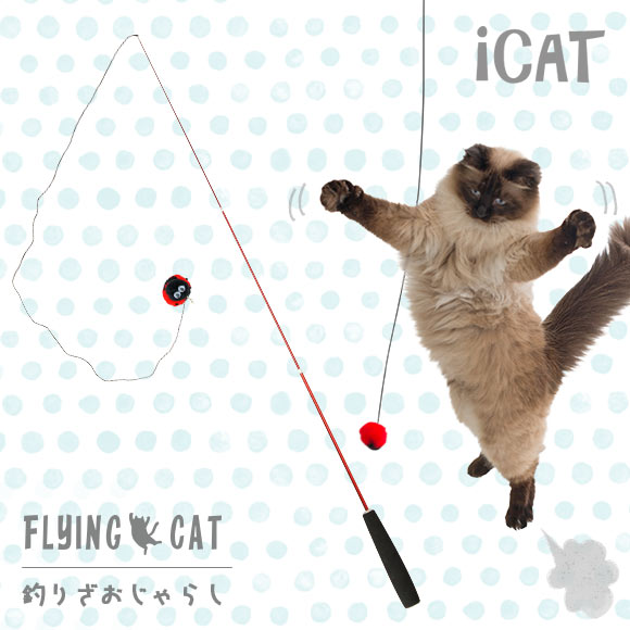 【猫じゃらし 釣竿】 iCat FLYING CAT 釣りざお猫じゃらし てんとう虫ボール 【猫用おもちゃ ペットグッズ ねこ ネコ 猫じゃらし 釣り竿 ねこじゃらし】【 猫のおもちゃ】【icat idog】