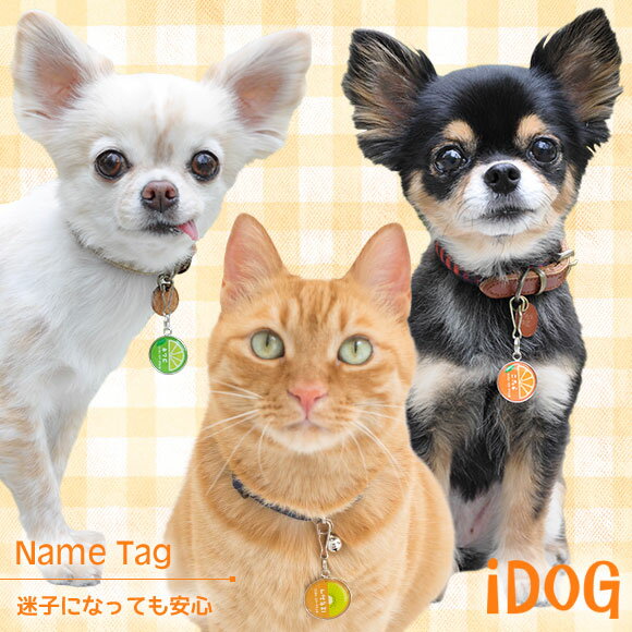 【 迷子札 猫 】IDOG&ICAT ネームタグ迷子札ハーフフルーツ メール便OK【 ネームプレート ドッグタグ 名札 鑑札 脱走対策 防災 名入れ 名前入り ネーム入り 印字 チャーム ストラップ 子供 icat 】