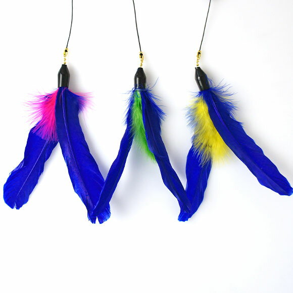 ������̵�������ڡ�����ۡ�ǭ �������� iCat FLYING CAT ��ꤶ��ǭ����餷 �Ĥ����� ��ǭ�Ѥ������ �ڥåȥ��å� �ͤ� �ͥ� ǭ����餷 �ͤ�����餷 ��ư��­��� ���� ��ȡۡڥץ��ץ餪����� ��������å� ��