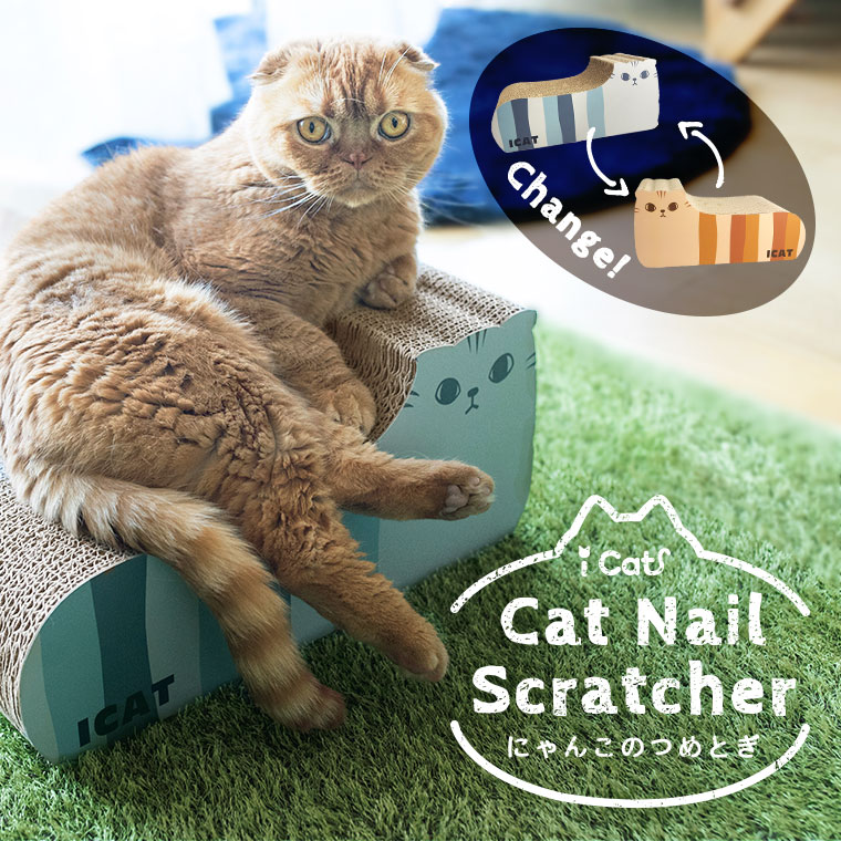 【ハロウィン セール ★15％OFF】【 猫 爪とぎ 】iCat つめとぎ スコティッシュ 【 段ボール 爪 ネイル 爪磨き 猫用つめとぎ 猫のつめとぎ スクラッチャー キャットスクラッチャー ベッド くつろぎ 定位置 猫型 リバーシブル くつろぎ 】 商品画像2