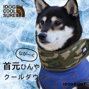 【 猫 夏 クール 】iDog IDOG COOL SURE ネッククーラー 固くならない保冷剤 2個付き アイドッグ メール便OK【 猫 冷やす 涼 cool 猛暑 夏バテ防止 熱中症 りょう 冷える 涼感 暑さ 夏 パグ 柴 ブルドッグ 】