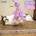 【 猫 おもちゃ 】iCat パステルふわもこじゃらし アイキャット【 あす楽 翌日配送 】【 猫用おもちゃ ペットグッズ ねこ ネコ 猫じゃらし プチプラおもちゃ 猫のおもちゃ icat i dog 楽】 2