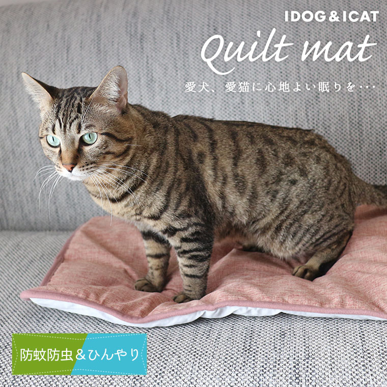 【 猫 ブランケット マット 】IDOG&ICAT ひんやり防虫キルトマット アイドッグ【 あす楽 翌日配送 】【 接触冷感 ひんやり 防虫 防蚊 ひざかけ ステイマット icat i dog 楽天 】