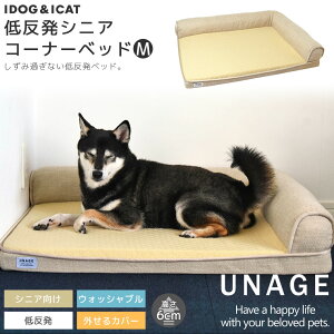  ǭ ٥å IDOG&ICAT UNAGE 󥨥 ȿȯ˥٥å ʡ٥å M   ۡ å ޥå   Ϸ Ϸǭ  ˥  淿 緿 ڥåȥ٥å ޥå icat i dog ŷ ɥå 