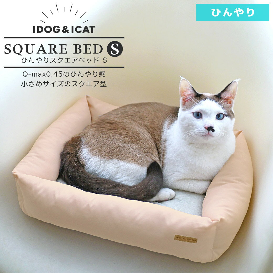 【ひんやりベッドセール★40％OFF】【 猫 ベッド 】IDOG&ICAT ひんやりスクエアベッド Sサイズ COOL アイドッグ【 あす楽 翌日配送 】【 ひんやり 接触冷感 クール cool クッション ベット ペットベット 犬のベッド 猫 ベ】