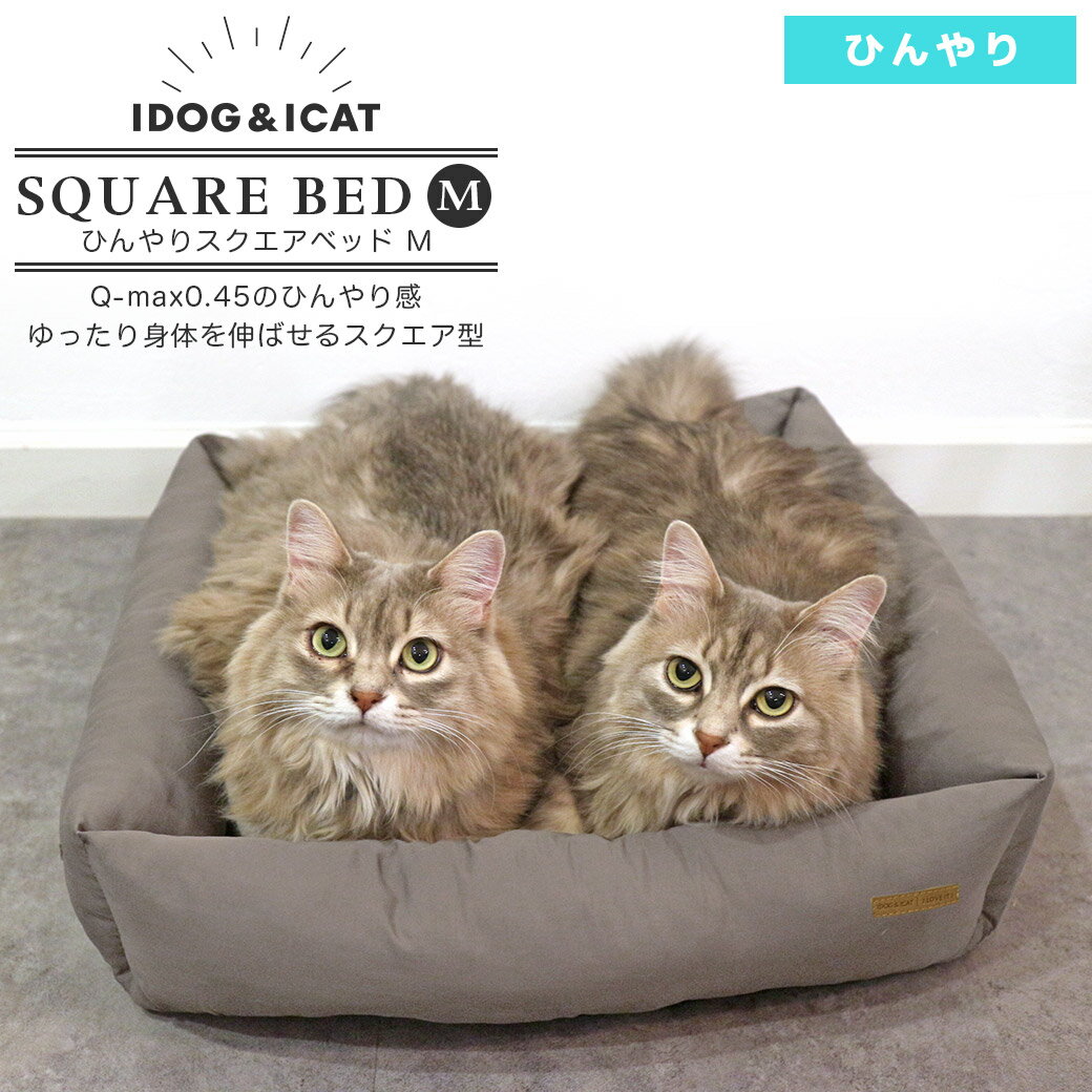 【ひんやりベッドセール★40％OFF】【 猫 ベッド 夏 】IDOG&ICAT ひんやりスクエアベッド Mサイズ COOL アイドッグ【 あす楽 翌日配送 】【 ひんやり ベッド 接触冷感 クール 夏用 cool ゆったり 大きめ ベット ペットベッ】