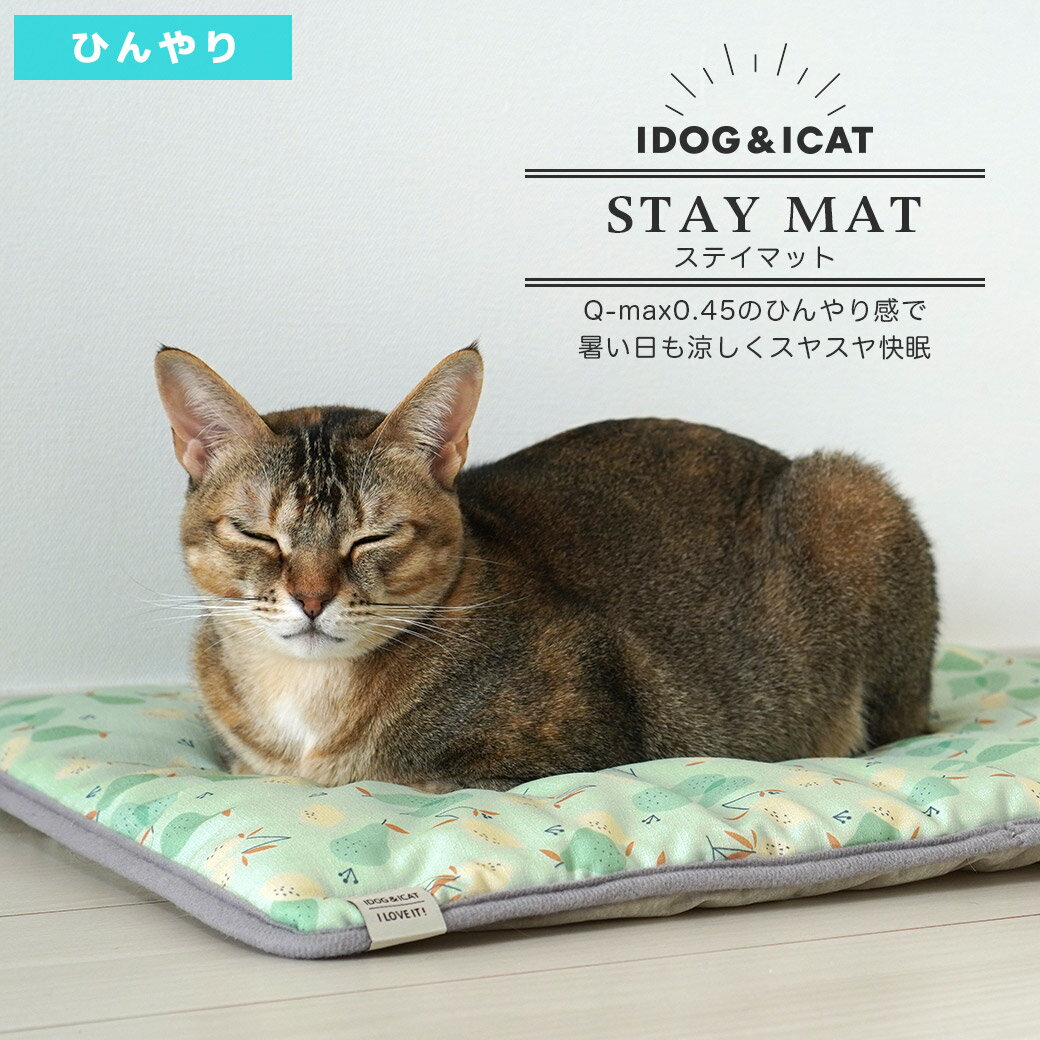 【 猫 マット 】IDOG&ICAT ひんやりステイマット アイドッグ【 あす楽 翌日配送 】【 接触冷感 ひんやり クール 夏用 キャリー用 ステイマット icat idog 楽天 】