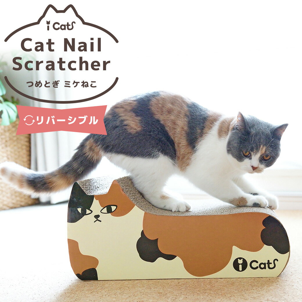 【ハロウィン セール ★15％OFF】【 猫 爪とぎ 】iCat オリジナル つめとぎ ミケねこ アイキャット【 段ボール 爪 ネイル 爪磨き 猫用つめとぎ 猫のつめとぎ スクラッチャー キャットスクラッチャー ダンボールポール 麻 icat】 商品画像2