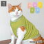 【 猫 服 秋冬 】iDog 裏起毛スタータンク 裏ぽか アイドッグ メール便OK【 あす楽 翌日配送 】【 猫 服 ドッグウエア ペット ねこ 猫 ネコ いぬ 犬の服 猫服 猫の服 小型犬 犬服 おしゃれ 犬用 トイプードル チワワ】 2,640円