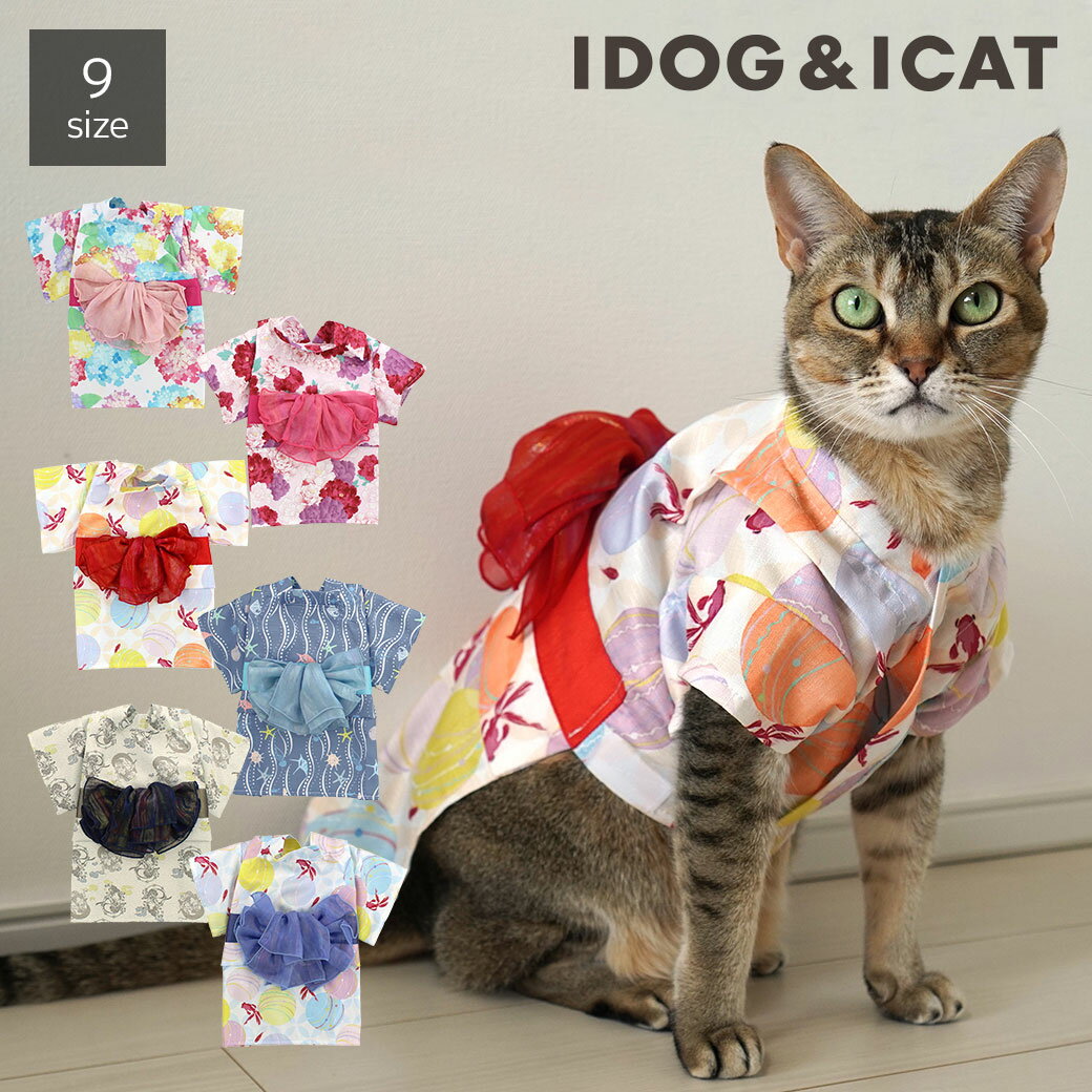 【 浴衣 犬 服 】iDog 華やか大輪帯浴衣【 あす楽 翌日配送 】【 夏 祭り 和服 和柄 犬の服 アイドッグ いぬ ドッグウェア ペットウェア 犬 服 猫服 i dog 楽天 夏物 】