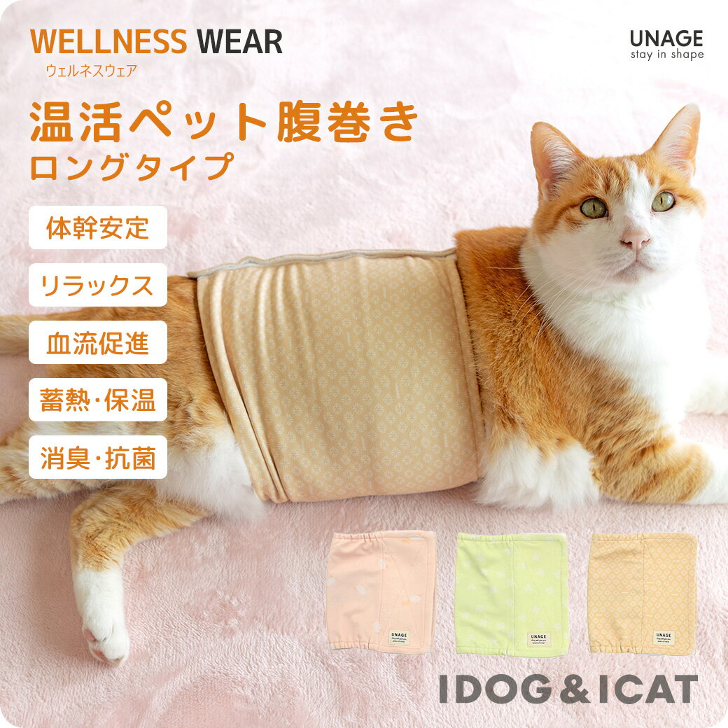  ǭ  IDOG&ICAT UNAGE 󥨥 ͥڥåʢ 󥰥 ɥå ᡼OK   ۡ  Ϸ Ϸǭ  ˥  淿 緿 ʢ ¥ Բ δ õ å ɥå 