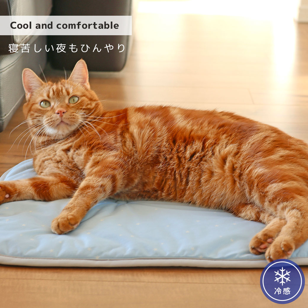 【 猫 マット 夏 】IDOG&ICAT クールステイマット 接触冷感 抗菌 防臭 アイドッグ 【 マット キャリー ステイマット ひんやり ねこ ネコ 猫 猫用 老猫 子猫 cool 夏用 カート ペット 接触】