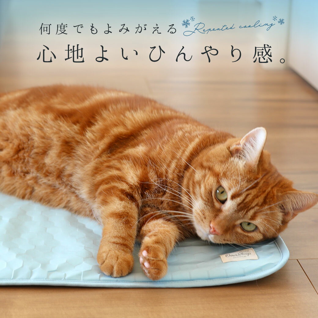 �� ǭ �ޥå� ��IDOG&ICAT �Ҥ����Ǯ�ߤ��ѥå� PCM M������ ���ߤ��դ� �����ɥå� �� �٥åɸ�������iDog �Ҥ��� ������ ���ƥ��ޥå� ����꡼ ������ �Хå� cool ���� �䴶��