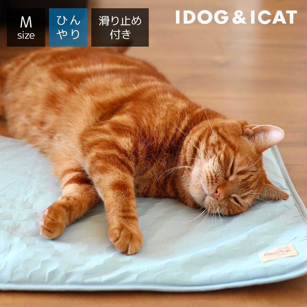 【 猫 マット 】IDOG&ICAT ひんやり吸熱敷きパッド PCM Mサイズ 滑り止め付き アイドッグ【 あす楽 翌日配送 】【 ベッド犬の服のiDog ひんやり クール ステイマット cool 夏用 冷感 暑さ 熱中症 ペット 子犬 小型犬 idog あいどっぐ 】