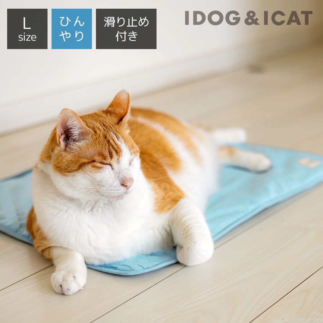 ひんやりマット（ペット用） 【 猫 マット 】IDOG&ICAT ひんやり吸熱敷きパッド PCM Lサイズ 滑り止め付き アイドッグ【 あす楽 翌日配送 】【 ベッド犬の服のiDog ひんやり クール ステイマット cool 夏用 冷感 暑さ 熱中症 ペット 子犬 小型犬 idog あいどっぐ 】