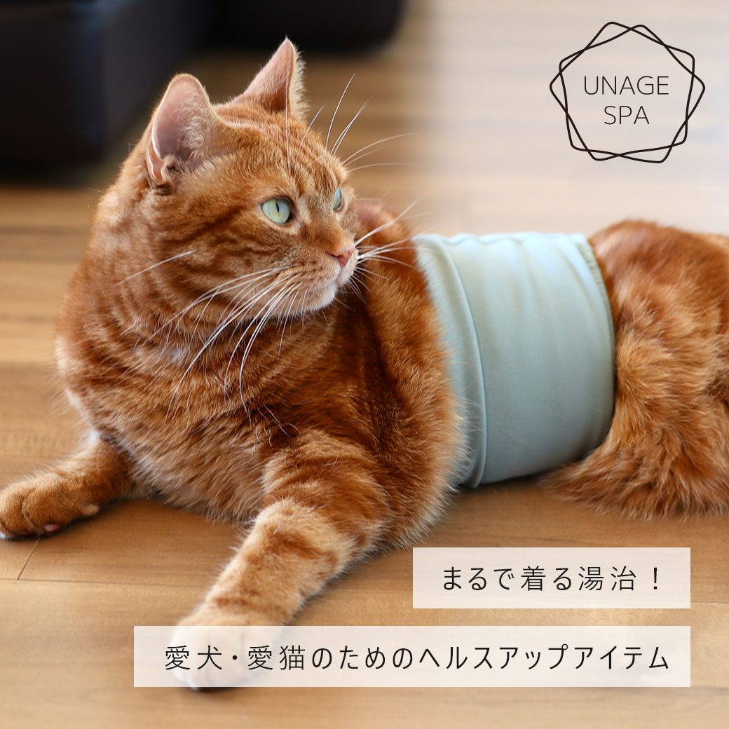 【 猫 腹巻き 】iDog UNAGE SPA...の紹介画像3