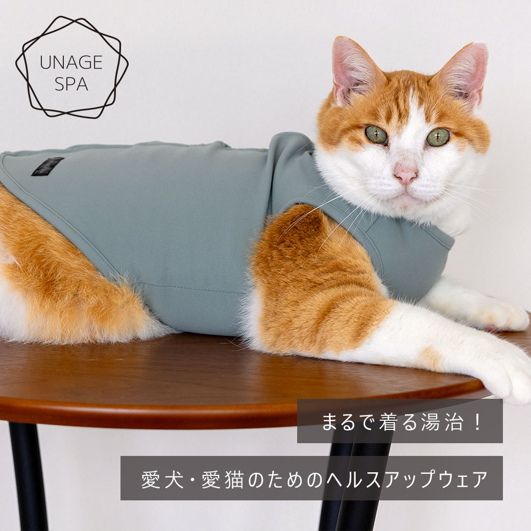 【 猫 服 】iDog UNAGE SPA ア...の紹介画像3