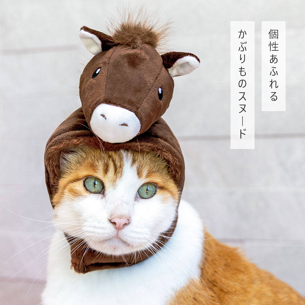 �� ǭ �� ���̡��� ��IDOG&ICAT ���٤Τ��֤��� ���Ϥ��󥹥̡��� �����ɥå��� ���֤��� ˹�� ���� ���� ������ �����ɥå� ���� ���� 2026ǯ ��ǯ ���� ǯ��� ����� ���٥�� ������ �ɥå������� ���� �ڥåȥ����� �� �� �� �����ɻ� idog icat ��������å� ��