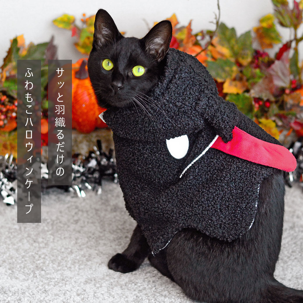 【 猫 服 ハロウィン 】iDog ハロウィン...の紹介画像3