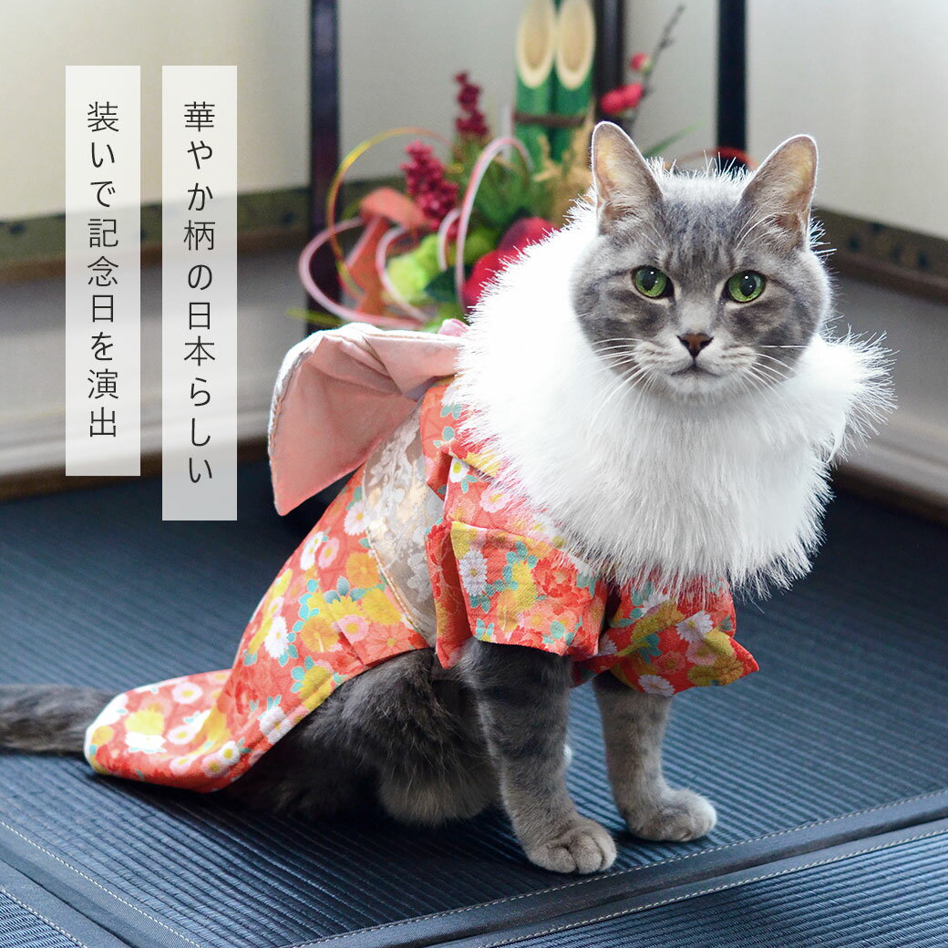 【 着物 猫 服 】iDog 日本の伝統 華や...の紹介画像3