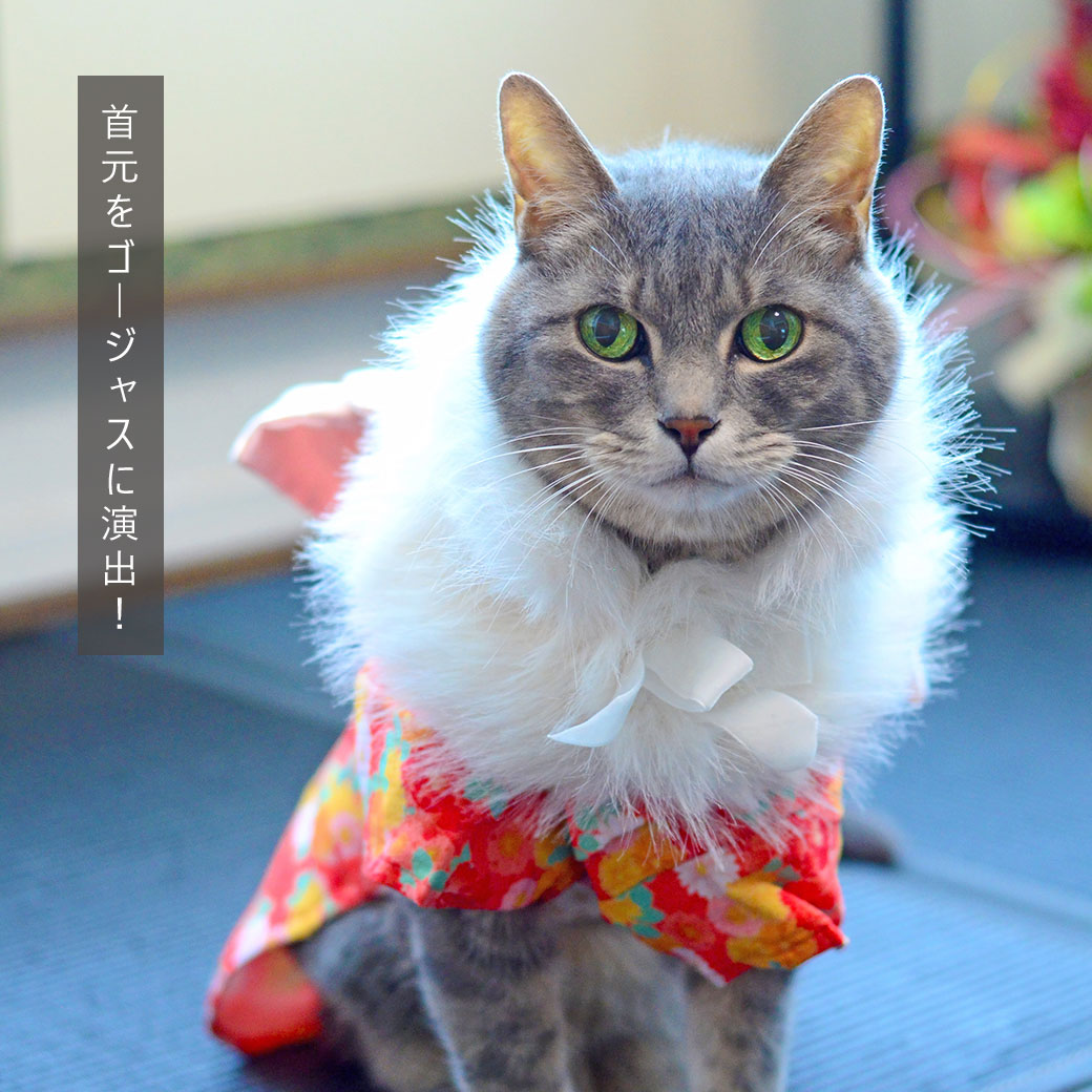 �� ǭ �� ��ʪ ��iDog �դ�դ�ե������硼�� �����ɥå� �᡼����OK�� ���硼�� �ޥե顼 ����� ������ ���ˤ� ������ ���� ������ �ȥ��ס��ɥ� ���� ��������iDog ����� �� ���å��� �� ���� �Ҥʺפ� �ҤʤޤĤ� �ɥå������� �ڥå� idog icat ��������åȡ�