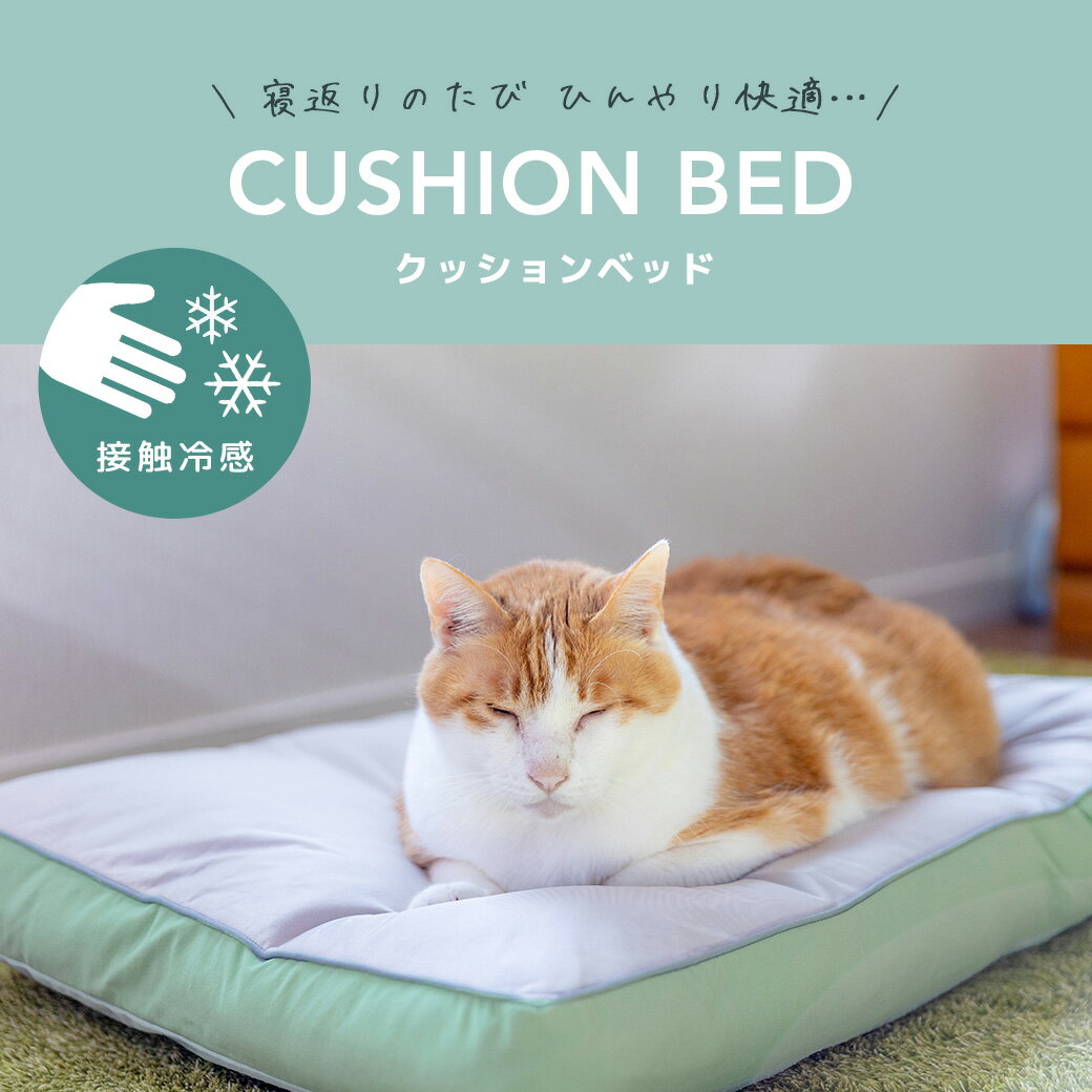 �� ǭ �٥å� ��IDOG&ICAT ���å����٥å� �ܿ��䴶 ���� �ɽ� �����ɥå��� �Ҥ��� �䴶 �ô� ������ cool ���å���� ���ѥ٥å� ���ɥ顼 ������ �٥å� �٥å� ���Υ٥å� �Ҹ� �ͤ� ǭ�� ǭ�٥å� �ղ� �ƥ٥å� �� ���å� idog icat ��������åȡ�