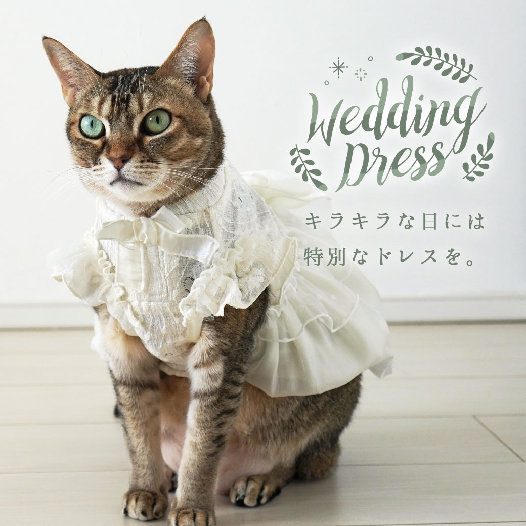 【 猫 服 ドレス 】iDog ウェディングワ...の紹介画像3