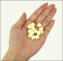 �� ǭ ����� �ۥ���ȥ꡼������ COUNTRY ROAD �ʥ����륭�塼�ӥå��������� ǭ�Τ���� ǭ�Ѥ���� ����åȥա��� �ڥå� �ڥåȥա��� icat i dog ��ŷ ��