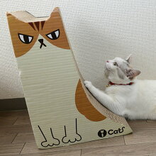 【猫】【爪】【とぎ】【iCat】【アイキャット】オリジナルスタンドキャット茶猫。【ダンボール】【猫用つめとぎ】【猫のつめとぎ】