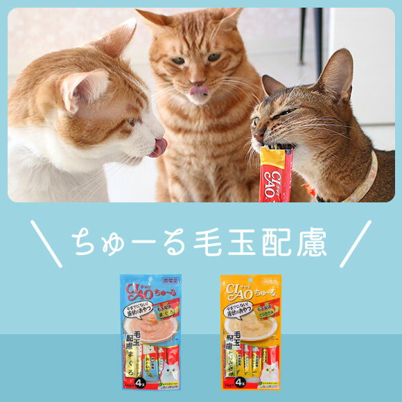 【 猫 おやつ 】CIAO チャオ 液状猫おやつ ちゅーる ちゅ〜る 毛玉配慮 メール便OK【 猫のおやつ 猫用おやつ キャットフード ペット ペットフード icat i dog 楽天 】【 あす楽 翌日配送 】