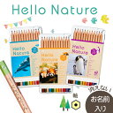 トンボ鉛筆ハローネイチャー 缶入色鉛筆12色 卒園 入学 ギフト 10052491 名入れ鉛筆 漢字/ひらがな/カタカナ名入れ無料