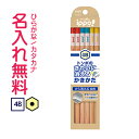 トンボ鉛筆 ippo(イッポ) きれいに消えるかきかたえんぴつ4B ナチュラル 名入れ鉛筆 漢字/ひらがな/カタカナ名入れ無料