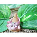 【半額】【数量限定セール中!!】アクセサリー リングカラーパールピンク★オシャレママにもお子様にもオススメ♪