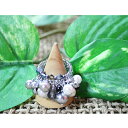 【半額】【数量限定セール中!!】アクセサリー リングカラーパールブラック★オシャレママにもお子様にもオススメ♪
