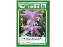 ジャポニカ学習帳 ノートかんじれんしゅう(100字/日付欄付) B5判 2〜5年生用 【02P03Dec16】