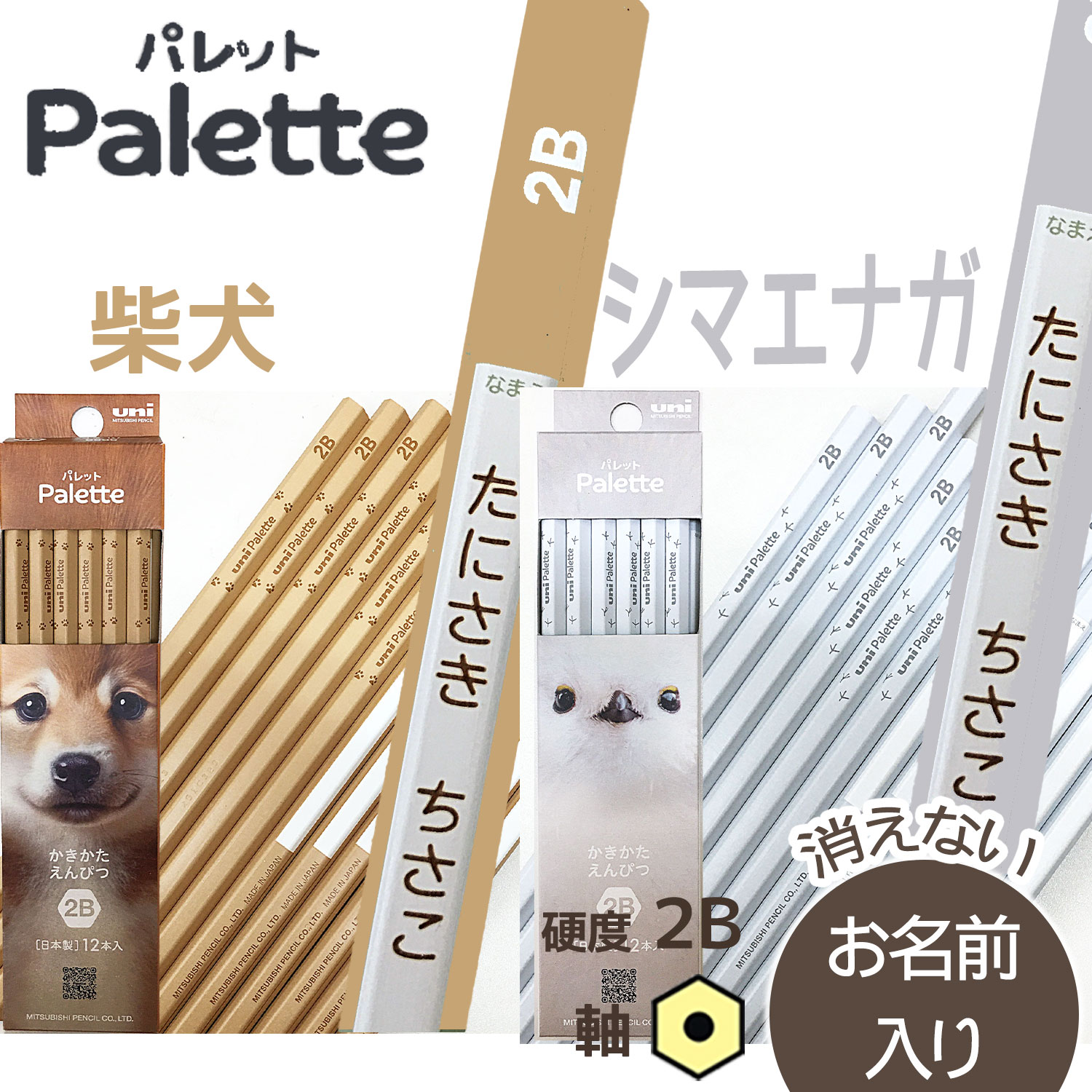 £ꤿ줤ʱɮɩɮuni Paletteʥ˥ѥåȡˡɮNew 2BޥʥƸ̾ɮ/Ҥ餬/̾...