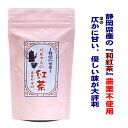 紅茶 農薬不使用 静岡川根産 杉谷さんの紅茶 リーフ 70g 茶葉タイプ
