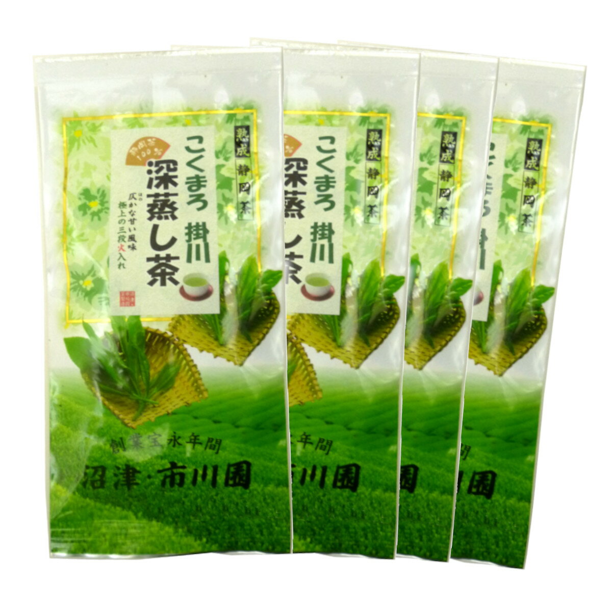 緑茶 深蒸し茶 掛川茶 「こくまろ掛川深蒸し茶100g袋入×