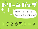 福袋【送料無料！】ドリームバッグ1,500円コース【他商品と同梱OK！】