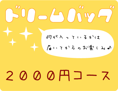 【送料無料！】ドリームバッグ2,000円コース【他商品と同梱OK！】