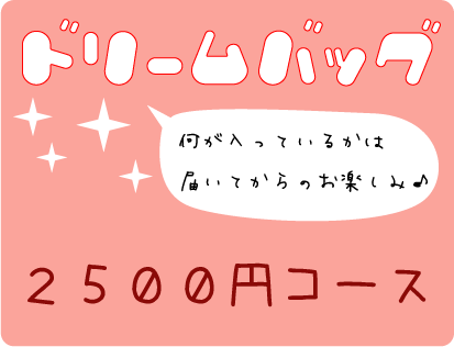 【送料無料！】ドリームバッグ2,500円コース【他商品と同梱OK！】