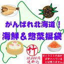 【送料込】がんばれ北海道！海鮮＆惣菜福袋（竹：10000円）